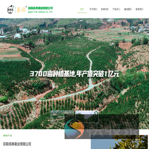 弥勒高泰果业有限公司