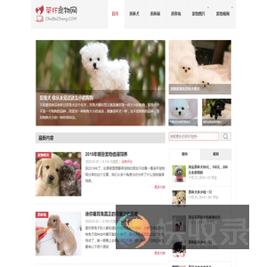 茶杯犬,茶杯猫,小香猪,迷你袖珍泰迪贵宾狗