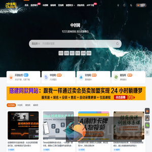 中创网