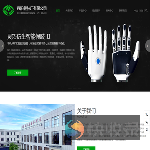 丹阳假肢/丹阳上肢/假肢/上肢