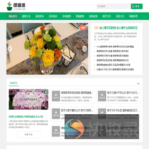 绿植迷