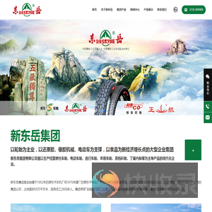 新东岳集团有限公司