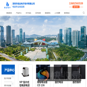 无极性电容