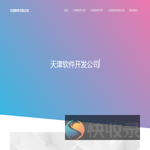 天津软件外包公司