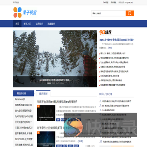 果子视窗