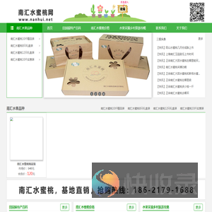 南汇8424西瓜