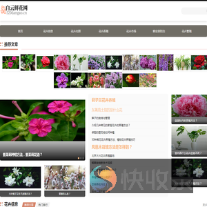 白云鲜花网