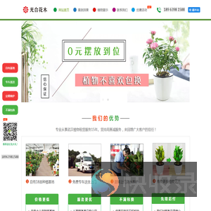 武汉绿植租赁