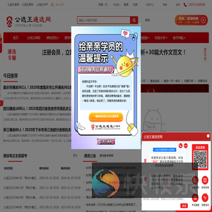 公选王遴选网