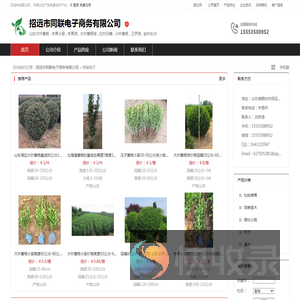 山东招远辛庄镇苗木基地