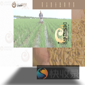 金稻福米业有限公司,五常大米,五常稻花香,五常大米厂,五常大米代工,五常大米价格