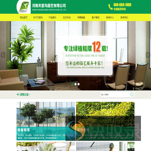 河南天堂鸟园艺有限公司