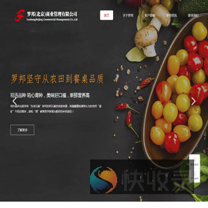 罗邦商业网站