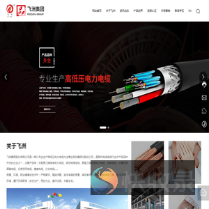 飞洲集团股份有限公司,防火电缆,控制电缆