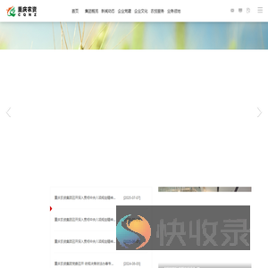 重庆市农业生产资料(集团)有限公司
