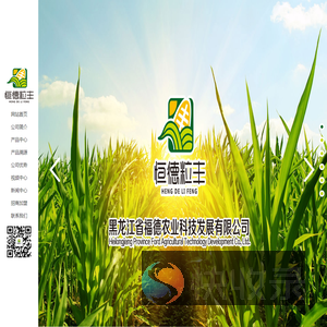 黑龙江省福德农业科技发展有限公司,黑龙江玉米种子,原单68,同德139,北单2,星单3