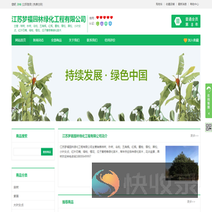 江苏大叶黄杨