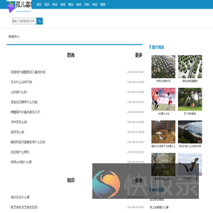孤儿寡妇网