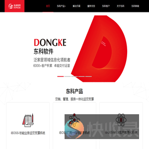 东科软件