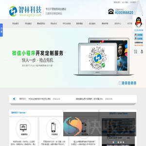 东莞网络公司