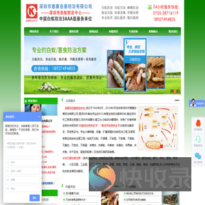深圳白蚁防治专家！深圳灭白蚁公司