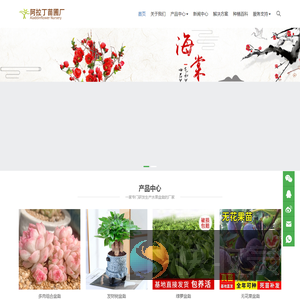 仙桃市阿拉丁苗圃厂