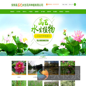 安新县菡艺水生花卉种植有限公司