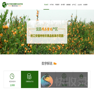 宜昌蜜桔