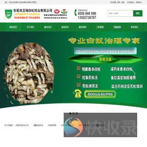 东莞白蚁防治公司