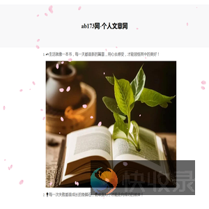 173软件站