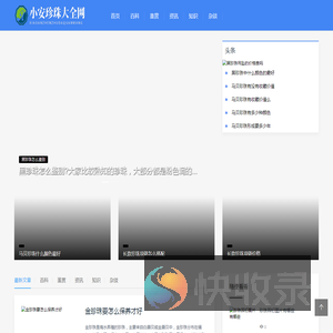 小安珍珠大全网