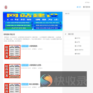 软件定制