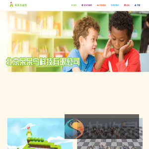 呆呆鸟编程