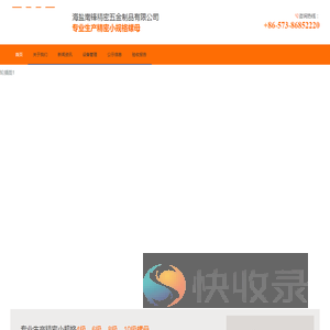 南锋汽标