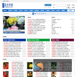 花讯网