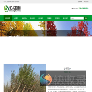 银杏树