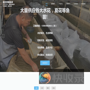 湖北幸福鱼苗
