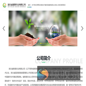 湖北省智慧农业有限公司