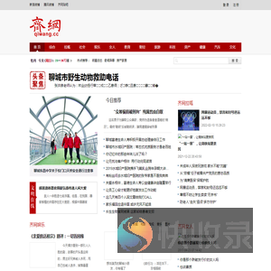 齐网