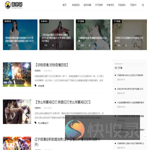 森奇网