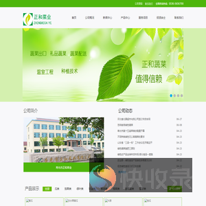 寿光市正和菜业有限公司:供香港蔬菜,新鲜蔬菜出口,寿光绿色有机蔬菜配送,礼品蔬菜