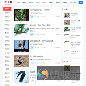 花鸟吧专注鸟类爱护