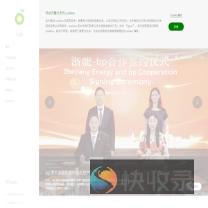 bp中国