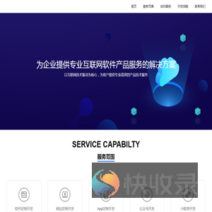 软件开发