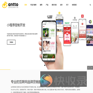 网站开发