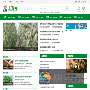 土客网