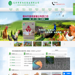 亳州市美相逢禽业有限公司丨亳州土鸡蛋