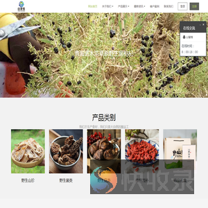 重庆野生菌