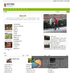 卵石不敌网