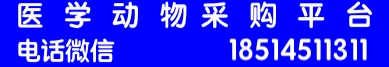 医学动物采购平台――超低价格各月龄自然衰老小鼠模型购买C57老龄鼠价格老龄小鼠购买C57老年鼠价格老年小鼠价格老年小鼠购买价格优惠,现货老龄大鼠老年大鼠购买价格优惠apoe小鼠购买价格,dbdb小鼠购买价格3XTG